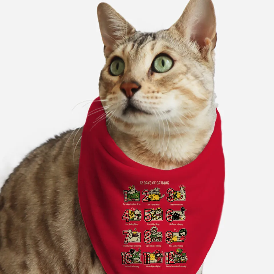 12 Days Of Catmas