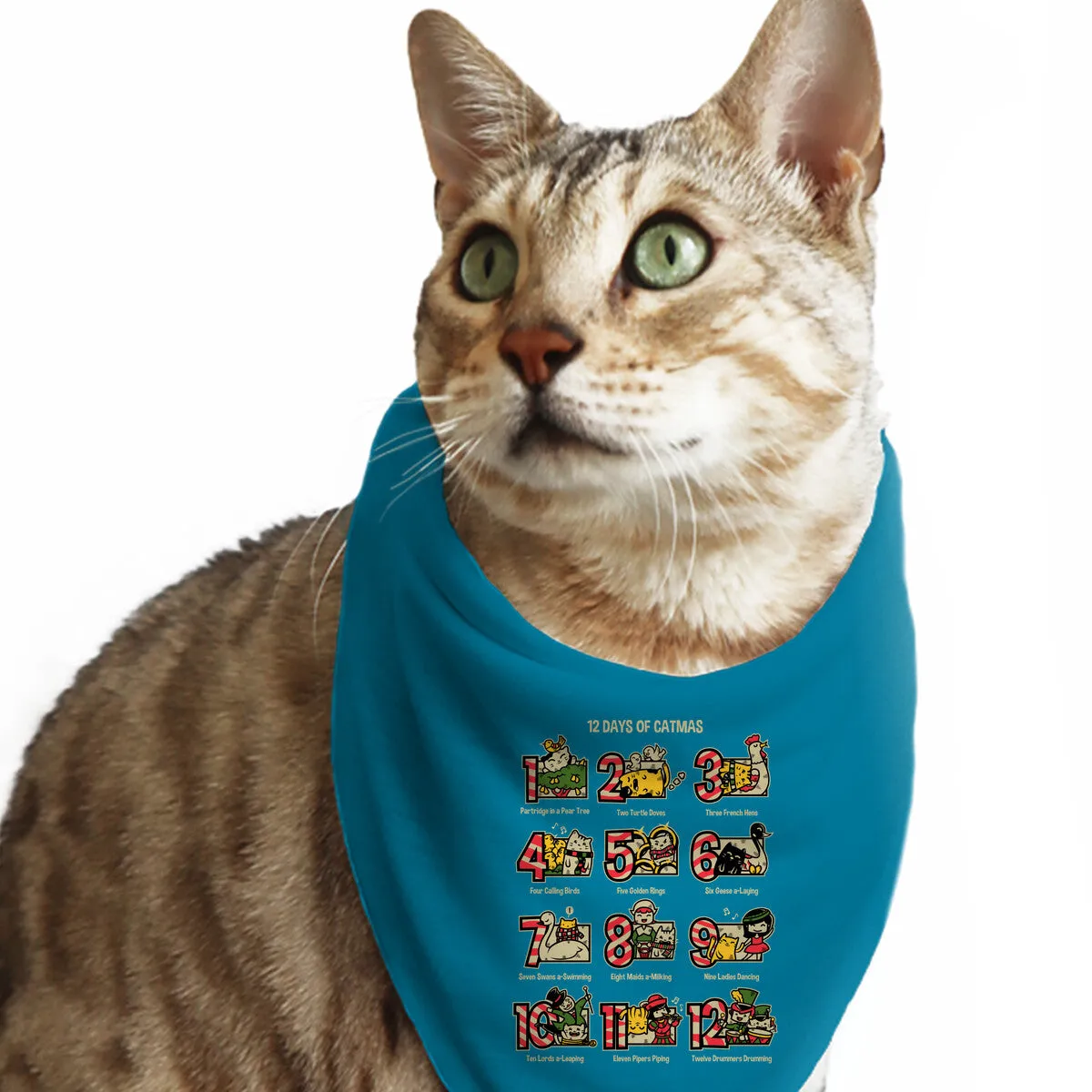12 Days Of Catmas