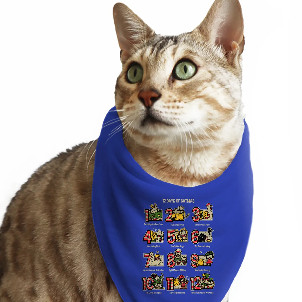 12 Days Of Catmas