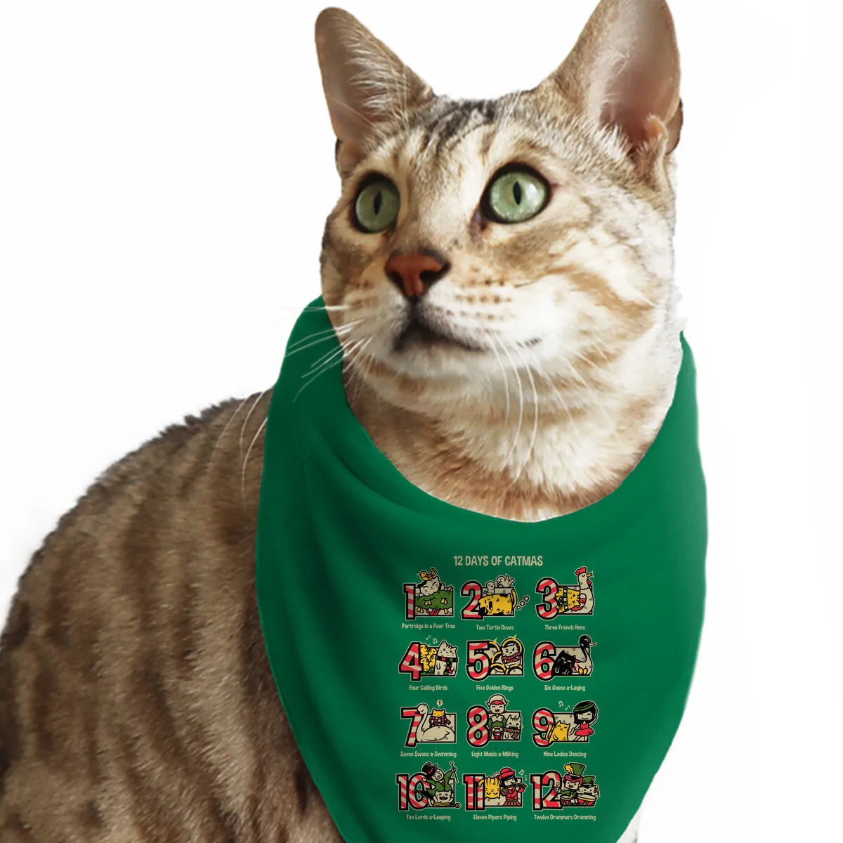 12 Days Of Catmas
