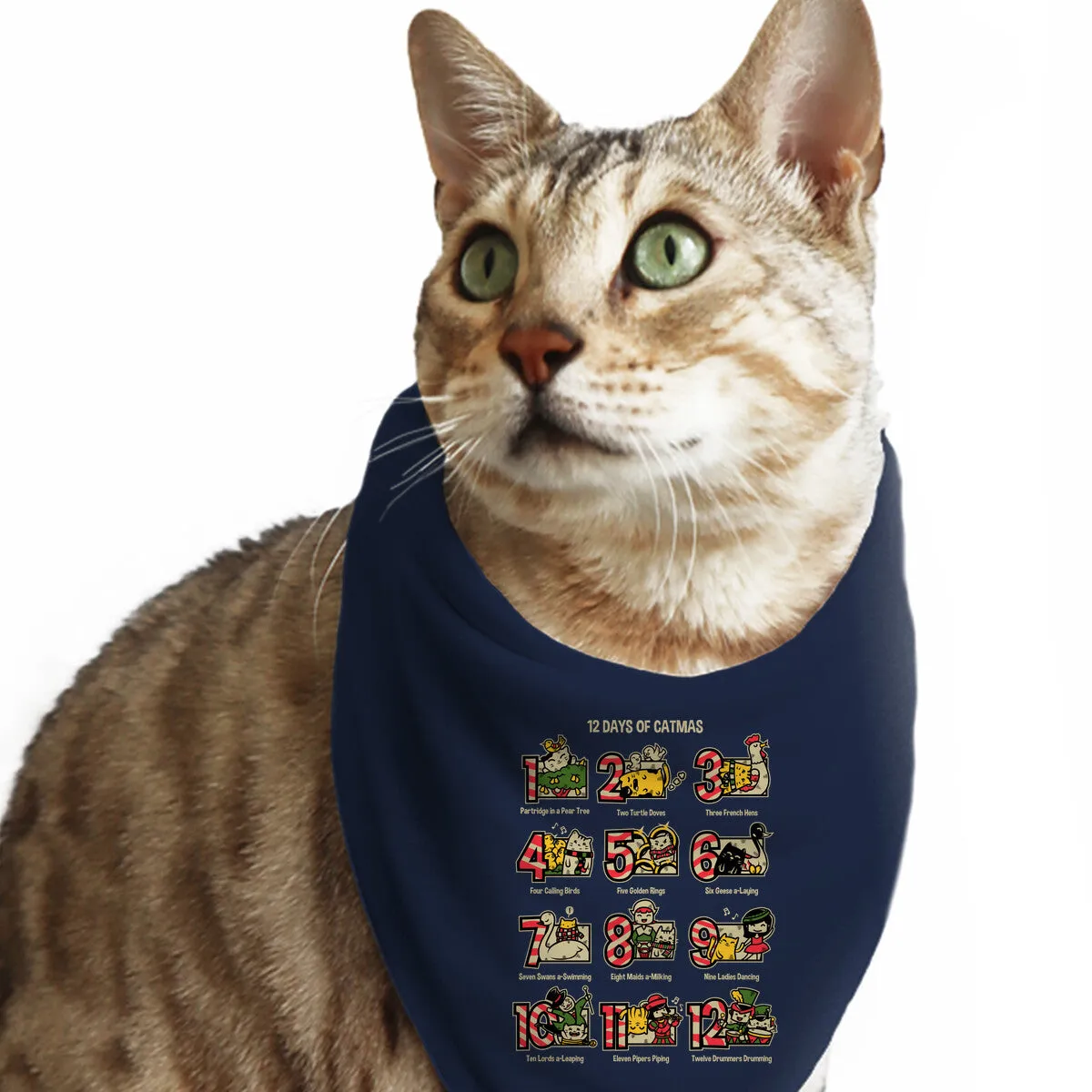 12 Days Of Catmas