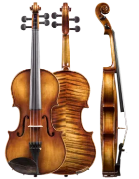 Amati Dvorak 4/4 Violin Outfit