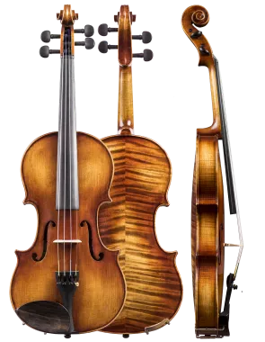 Amati Dvorak 4/4 Violin Outfit