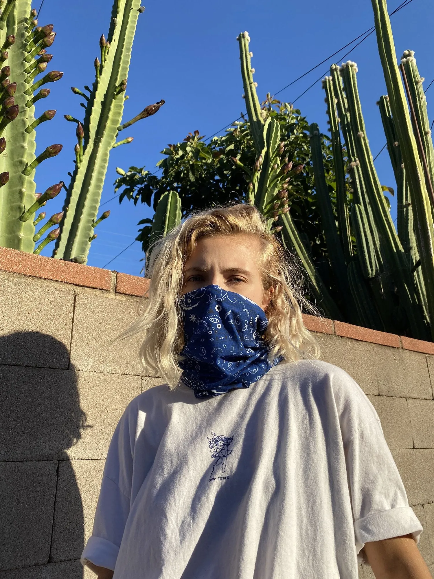 Blue Lake Paisley Bandana