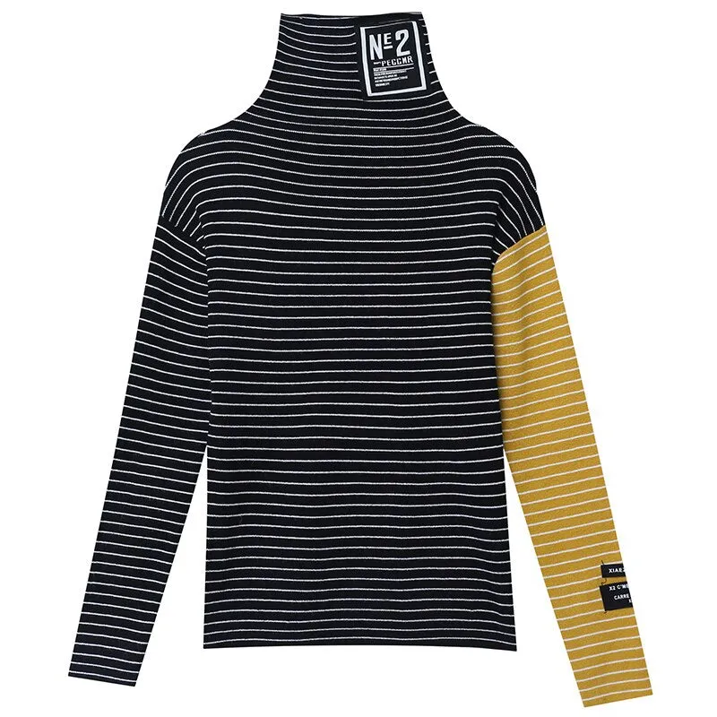 Striped Turtleneck Knitted Sweater