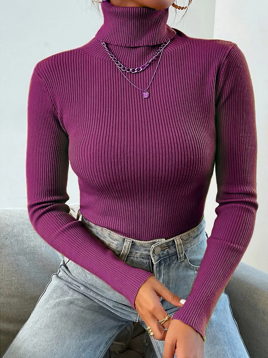 Women Ribbed Fitted Sweater
