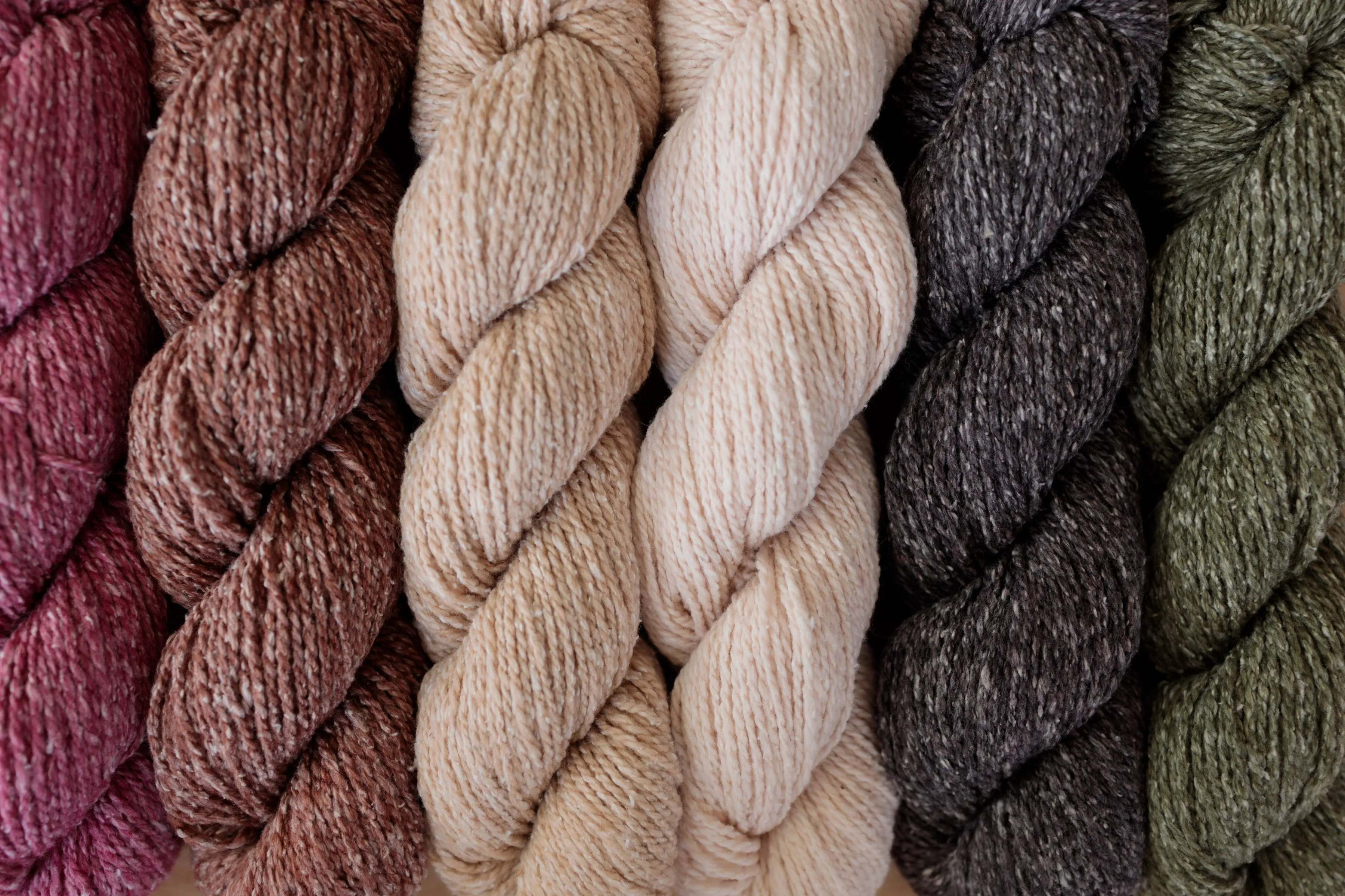 Wren - DK Yarn