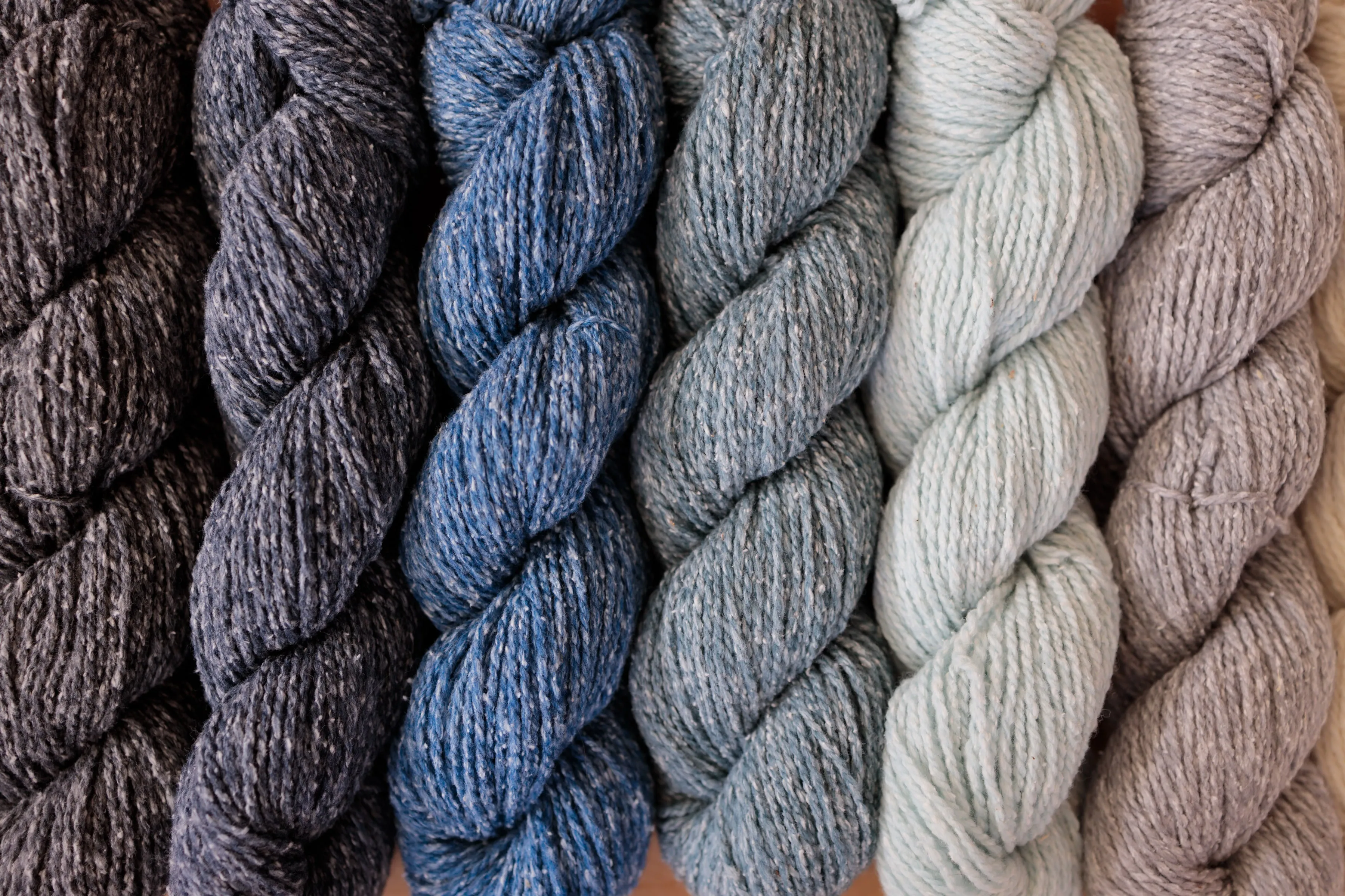 Wren - DK Yarn